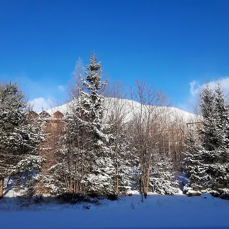 Mariana Apartment Vysoke Tatry